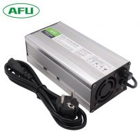 Зарядное устройство для Lifepo4 12V 20A крокодилы