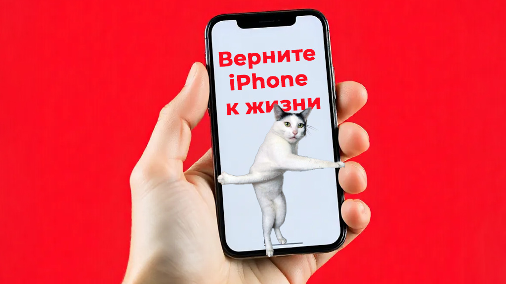 iPhone превратился в тыкву после обновления до iOS 18? Не спешите всё отключать, удалять и делать сброс